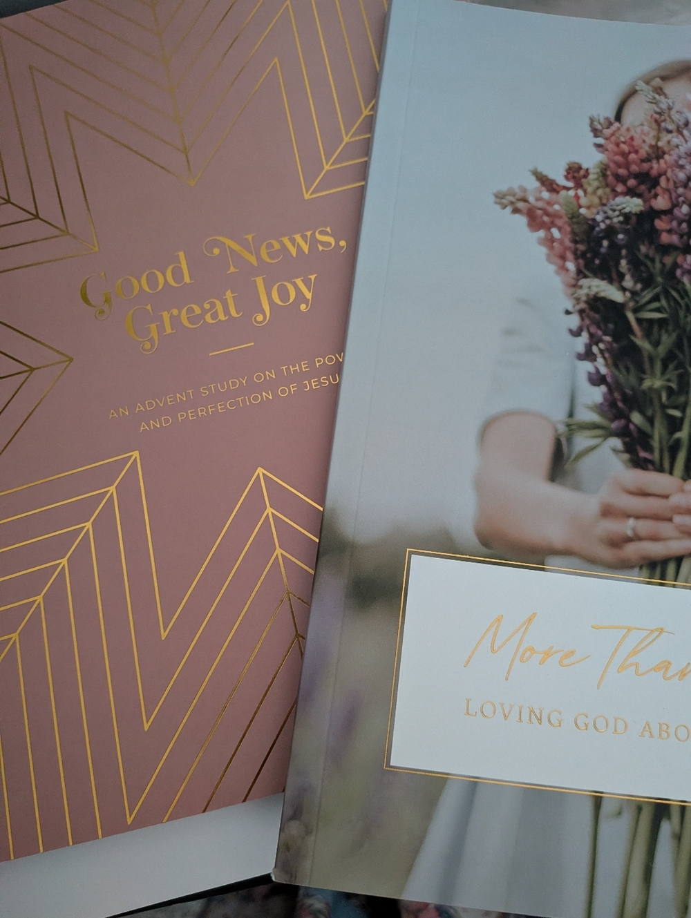Daily Grace Co More Than Anything & Good News Great Joy Study Books